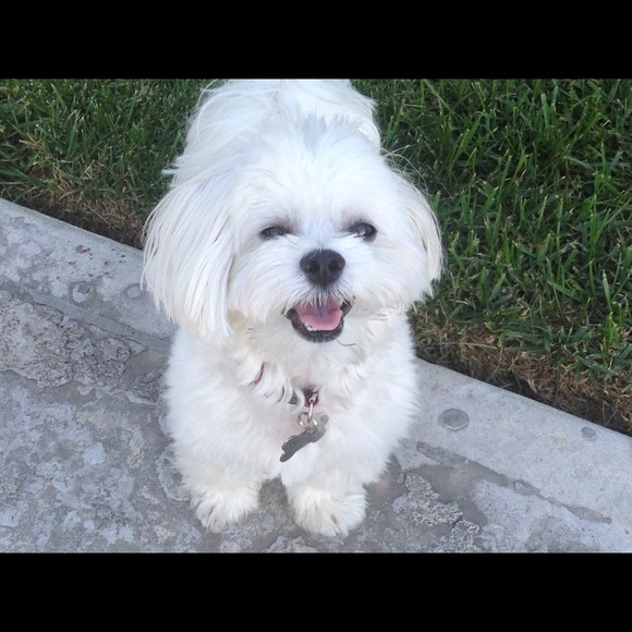 Meet your Posher, Denise - Picture 1 of 1